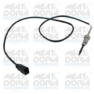 Sensor, exhaust gas temperature